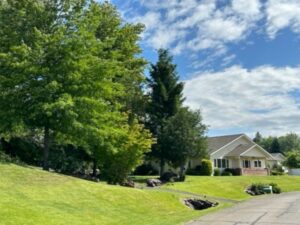 A Twinhome at Olympus of Spokane Valley of Olympus Living neighborhood. An asphalt road runs parallel to a small grassy hill, deciduous trees and large decorative rocks leads to a one-story home with many windows and a covered front porch.